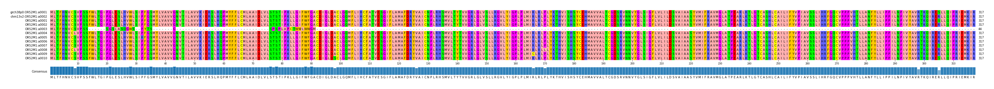 Multiple Alignments (by translate haplotype frequency)