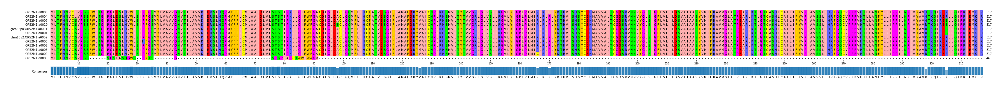 Multiple Alignments (by translate haplotype similarity)