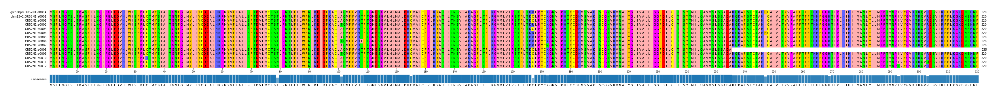 Multiple Alignments (by translate haplotype frequency)