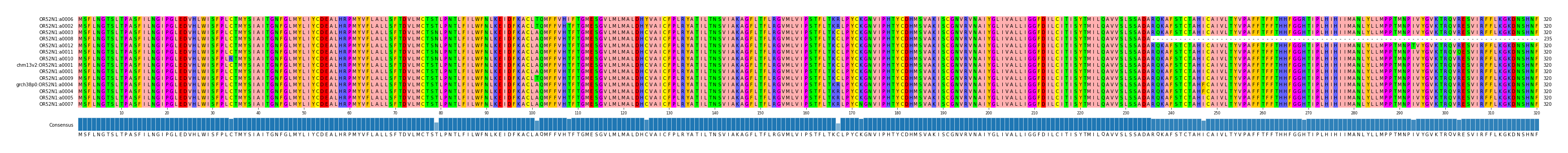 Multiple Alignments (by translate haplotype similarity)
