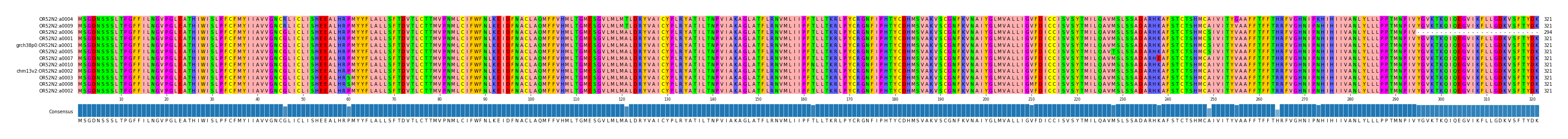 Multiple Alignments (by translate haplotype similarity)