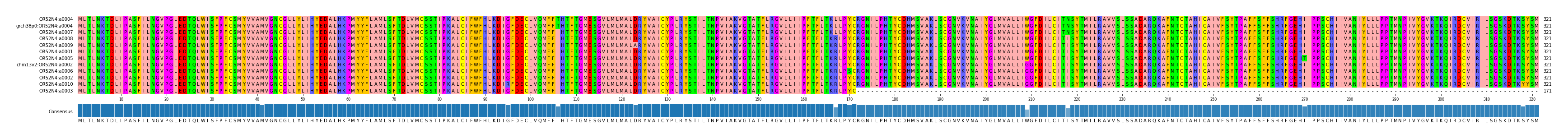 Multiple Alignments (by translate haplotype similarity)