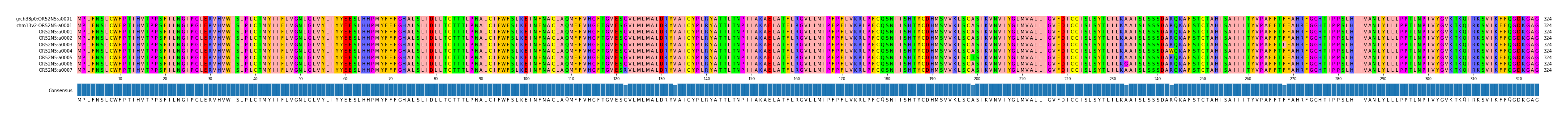 Multiple Alignments (by translate haplotype frequency)