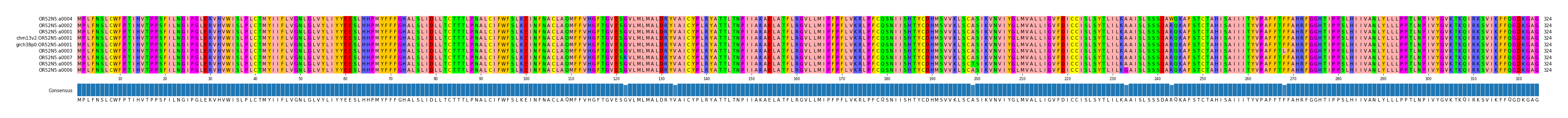 Multiple Alignments (by translate haplotype similarity)