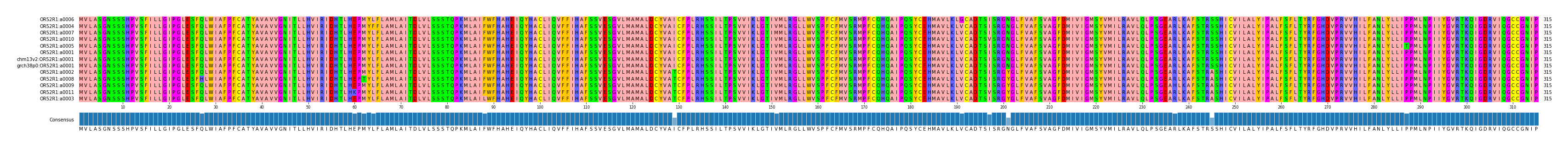 Multiple Alignments (by translate haplotype similarity)
