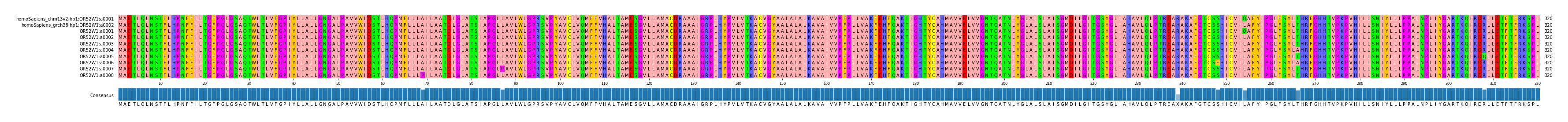 Multiple Alignments (by translate haplotype frequency)
