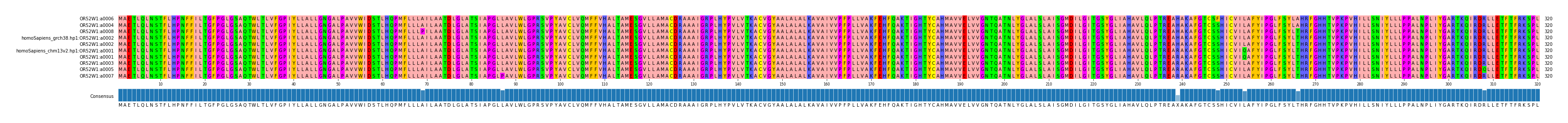 Multiple Alignments (by translate haplotype similarity)