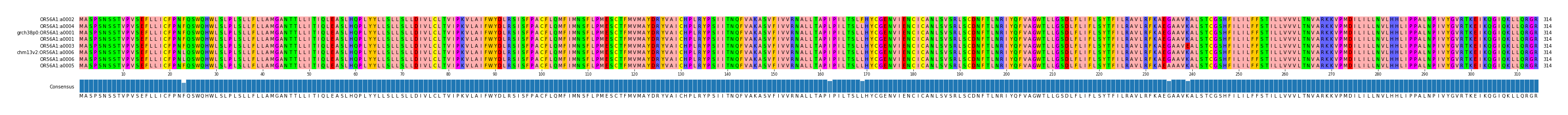 Multiple Alignments (by translate haplotype similarity)