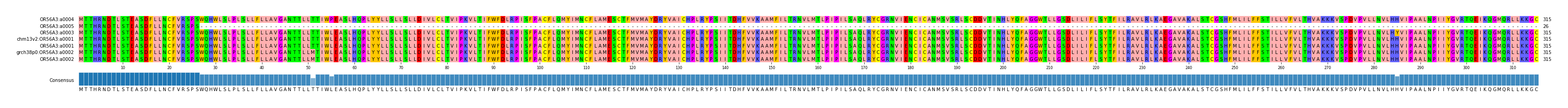 Multiple Alignments (by translate haplotype similarity)