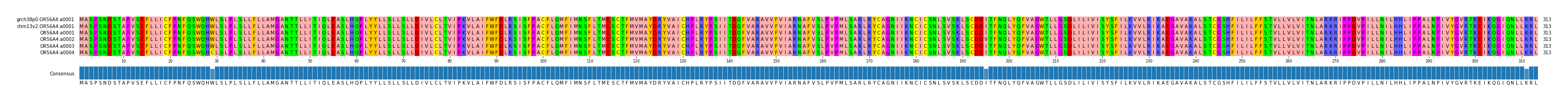 Multiple Alignments (by translate haplotype frequency)