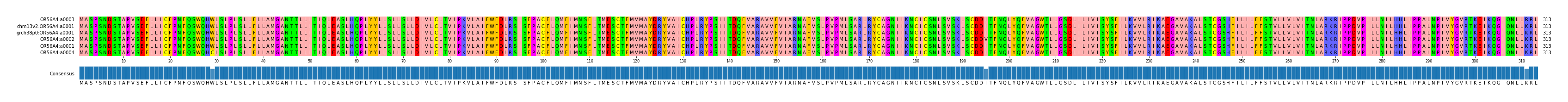 Multiple Alignments (by translate haplotype similarity)