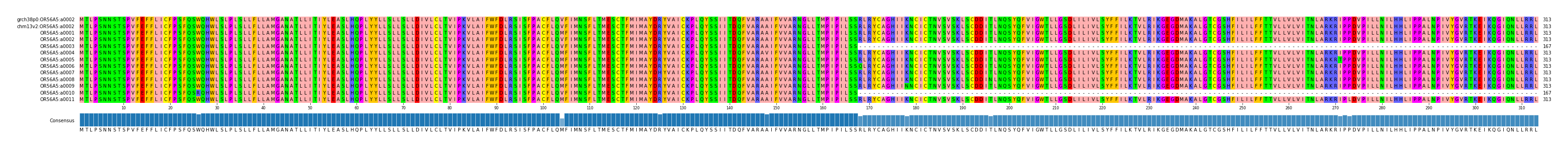 Multiple Alignments (by translate haplotype frequency)