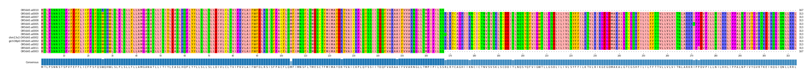 Multiple Alignments (by translate haplotype similarity)