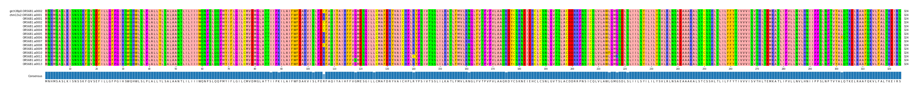 Multiple Alignments (by translate haplotype frequency)