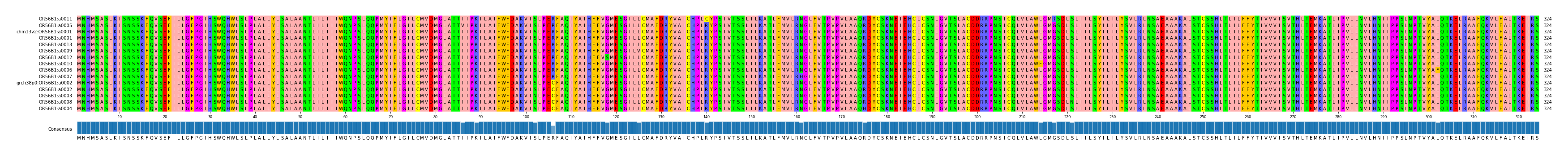 Multiple Alignments (by translate haplotype similarity)