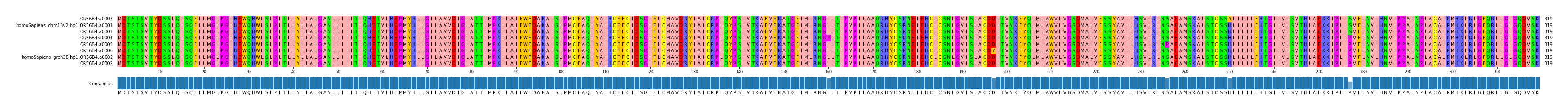 Multiple Alignments (by translate haplotype similarity)