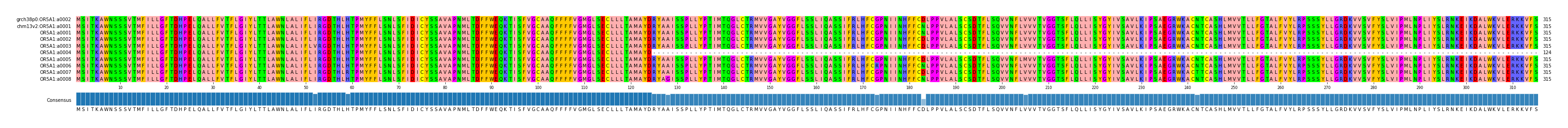 Multiple Alignments (by translate haplotype frequency)