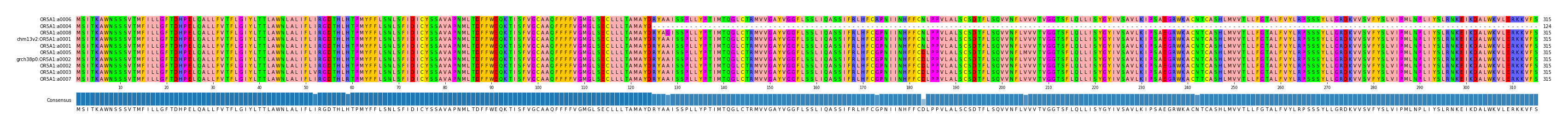 Multiple Alignments (by translate haplotype similarity)