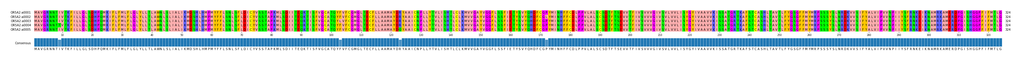 Multiple Alignments (by translate haplotype frequency)