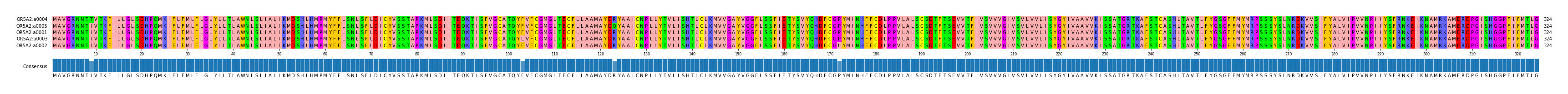 Multiple Alignments (by translate haplotype similarity)