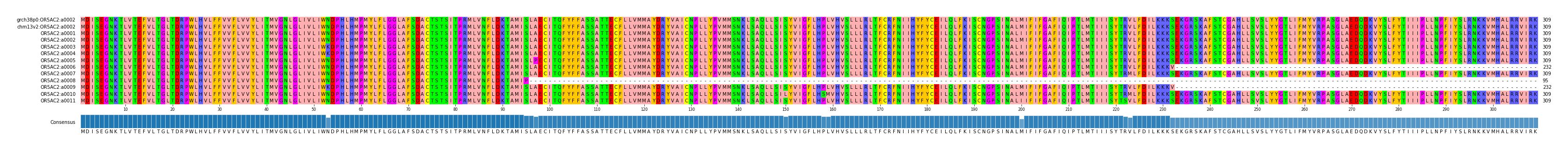 Multiple Alignments (by translate haplotype frequency)