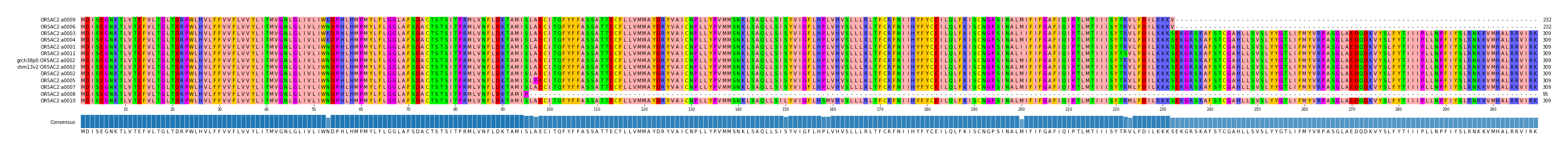 Multiple Alignments (by translate haplotype similarity)