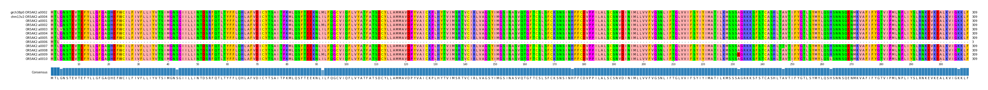 Multiple Alignments (by translate haplotype frequency)