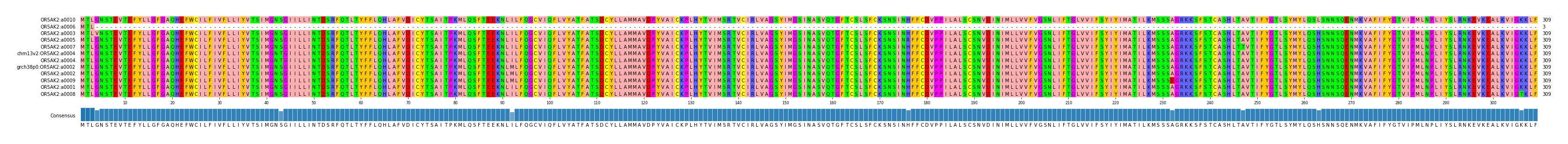 Multiple Alignments (by translate haplotype similarity)
