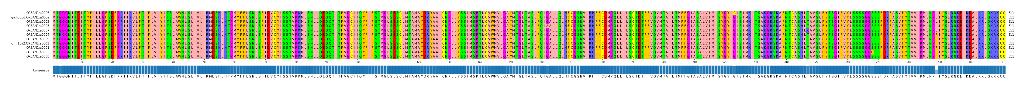 Multiple Alignments (by translate haplotype similarity)