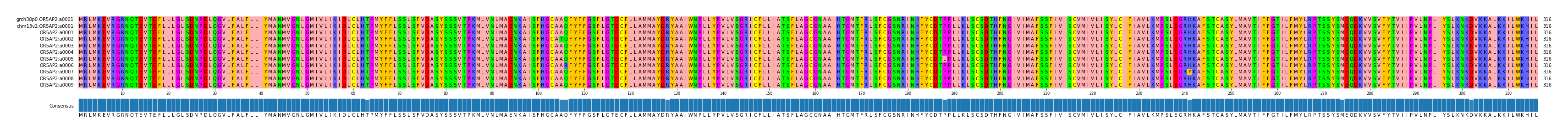 Multiple Alignments (by translate haplotype frequency)