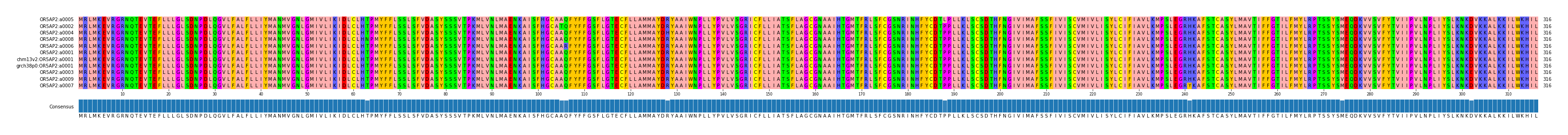 Multiple Alignments (by translate haplotype similarity)
