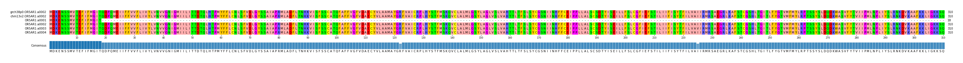 Multiple Alignments (by translate haplotype frequency)