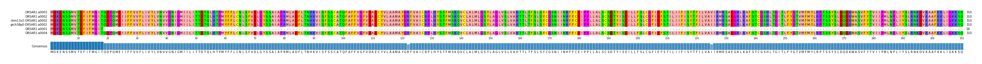 Multiple Alignments (by translate haplotype similarity)