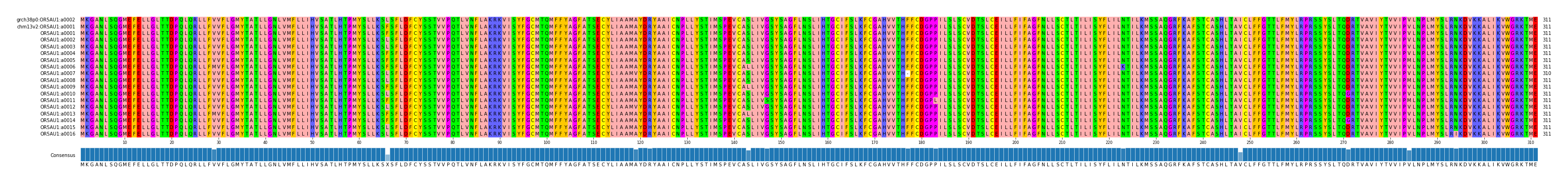 Multiple Alignments (by translate haplotype frequency)