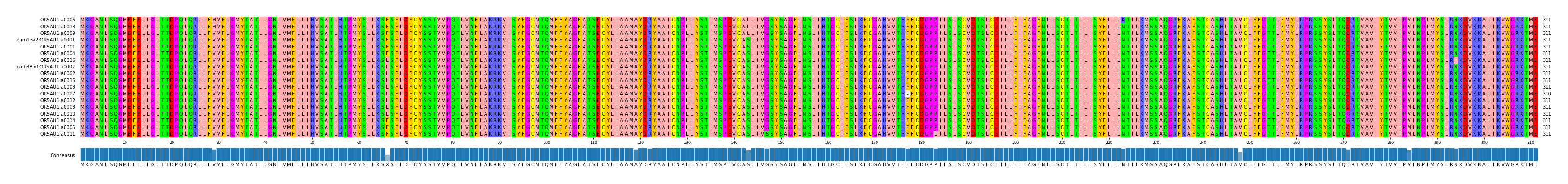 Multiple Alignments (by translate haplotype similarity)