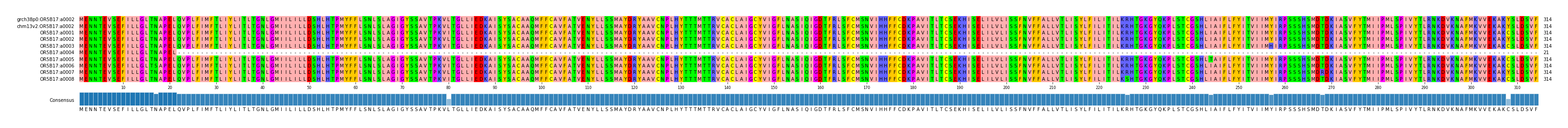 Multiple Alignments (by translate haplotype frequency)