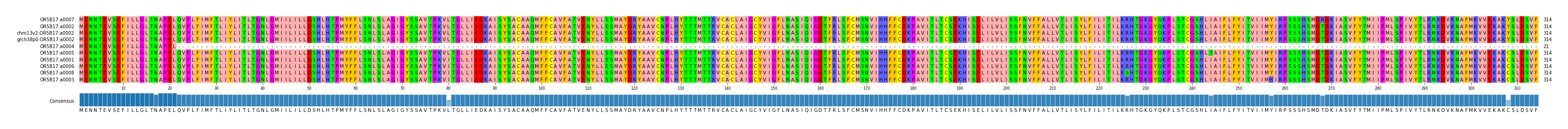 Multiple Alignments (by translate haplotype similarity)