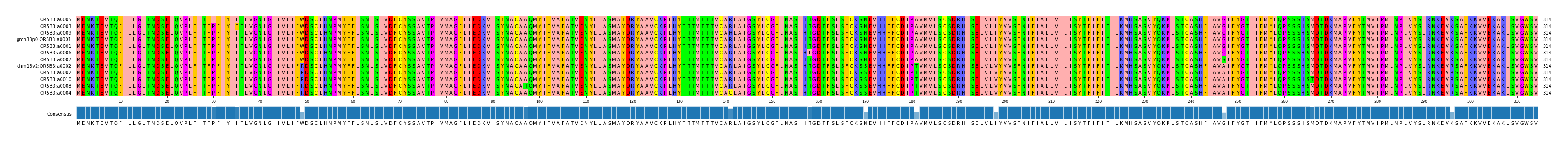 Multiple Alignments (by translate haplotype similarity)