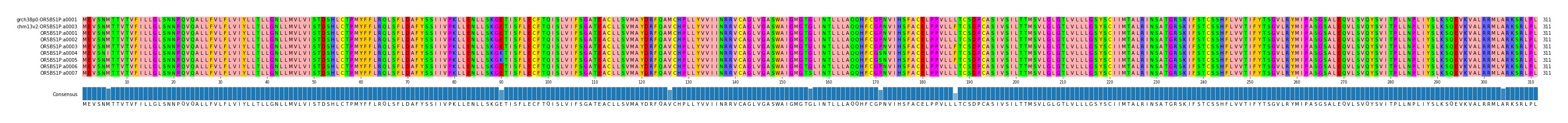 Multiple Alignments (by translate haplotype frequency)