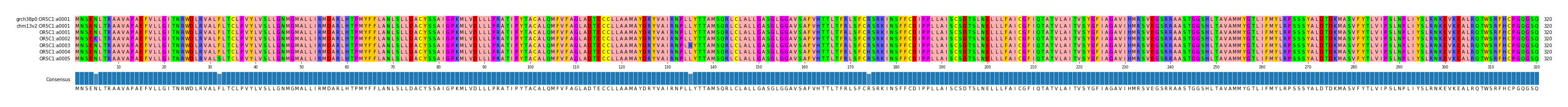 Multiple Alignments (by translate haplotype frequency)
