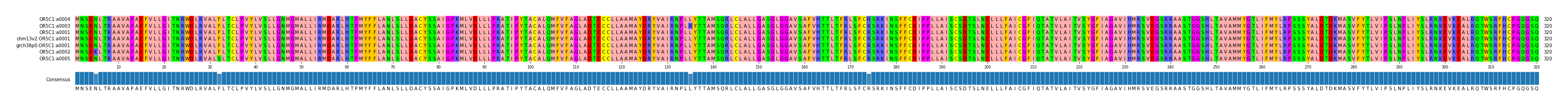 Multiple Alignments (by translate haplotype similarity)