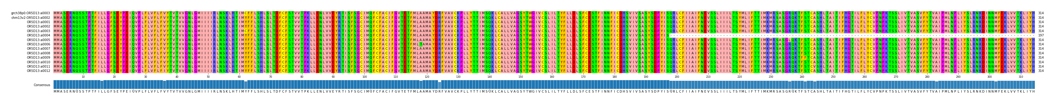 Multiple Alignments (by translate haplotype frequency)