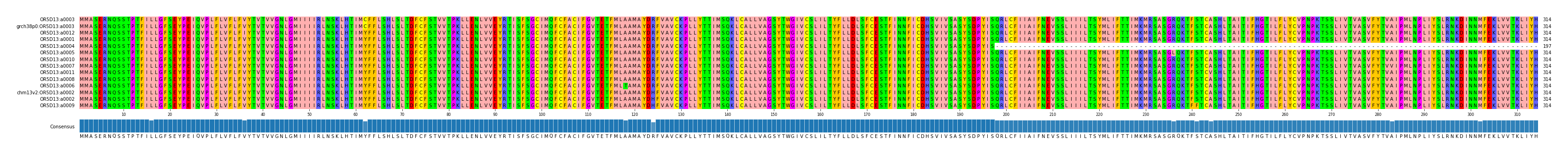Multiple Alignments (by translate haplotype similarity)