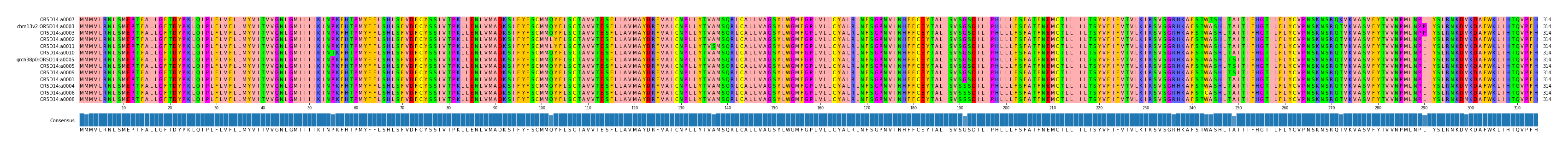 Multiple Alignments (by translate haplotype similarity)