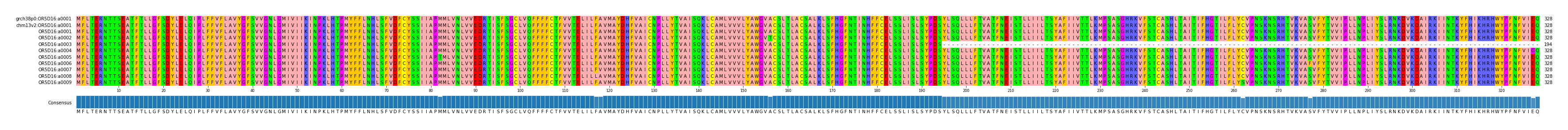 Multiple Alignments (by translate haplotype frequency)