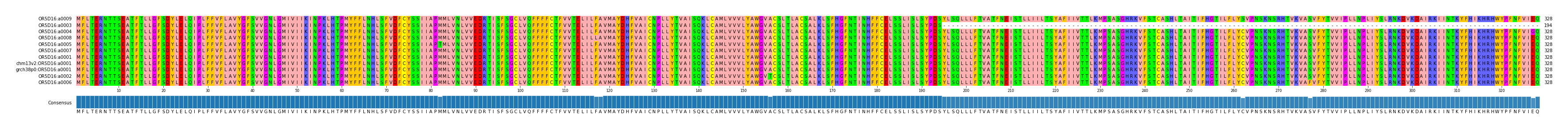 Multiple Alignments (by translate haplotype similarity)