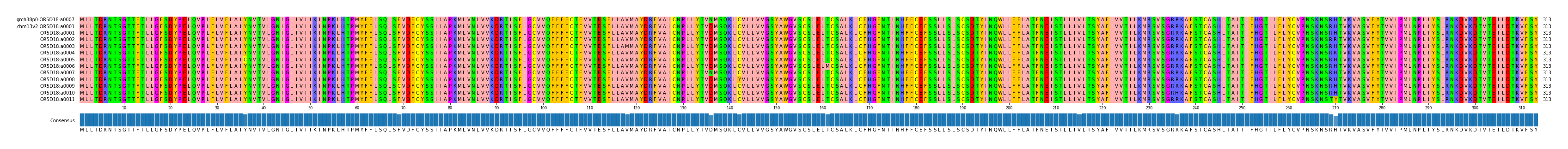 Multiple Alignments (by translate haplotype frequency)