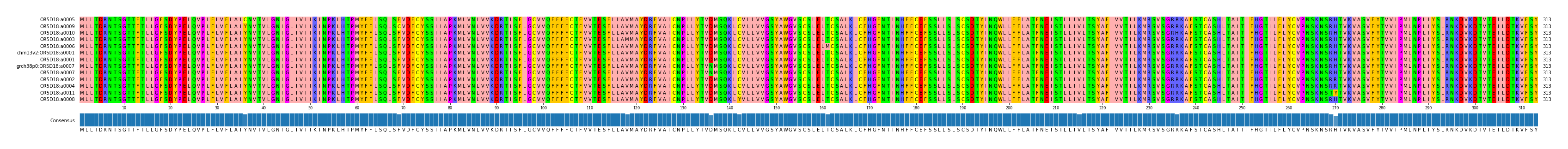 Multiple Alignments (by translate haplotype similarity)