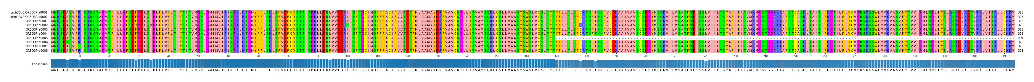Multiple Alignments (by translate haplotype frequency)