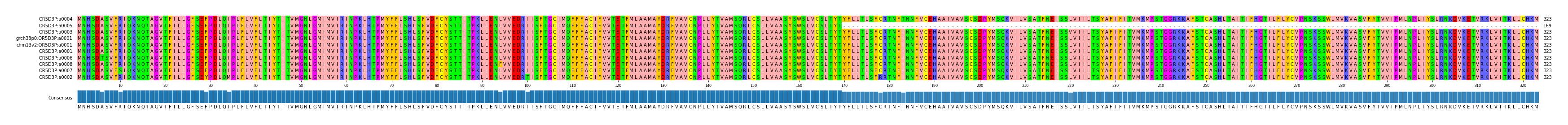 Multiple Alignments (by translate haplotype similarity)